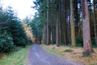 Tollymore, County Down, Northern Ireland
