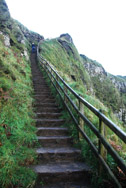 Stairs at the Giants Causeway